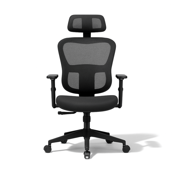 ErgoDamy Orion ergonomic office chair with adjustable armrests and lumbar support, featuring a modern black design.